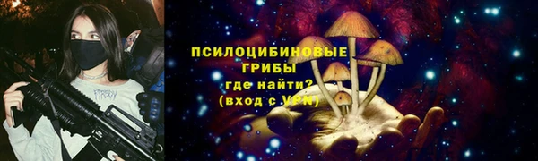a pvp Алзамай